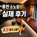 홍천 개아빠 | 홍천 소노캄B 스탠다드 클린 후기 | 소노캄A 스위트 비교 총정리