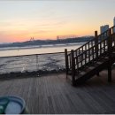 시립배곧한라2차어린이집 | 배곧한라비발디의 찐 매력 탐구기, 배곧한울부동산 활용 꿀팁 대방출