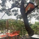 한경부동산공인중개사사무소 이미지