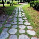 손오공농장 이미지