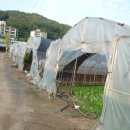 일권농장 이미지