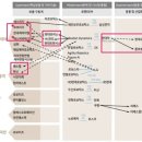 현대자동차황산점 | Daily News와 시장함께읽기(26/5/4~)