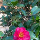 마산 봉암수원지 이미지