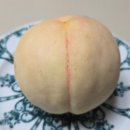 미정농장 이미지