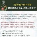 ＜간접트라우마를 다루기 위한 몸마음챙김 8주 프로그램 설문 및 연구참여자 모집＞합니다 이미지