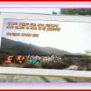 도 착 - 시 : 문 정 희 - (시와 감상) 이미지