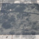 성지연꽃길 이미지