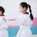 용인대창룡태권도 이미지