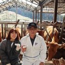 박현목장 국민일보