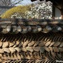 담 - 해운대구 센텀5로 55 | 담