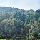 창촌3리 마을회관 이미지