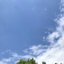 덕천강민물고기