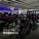 와이원 | 추가비용, 일일횟수제한 없이 '전지점 프리패스'가 가능한 운남동헬스장 추천 '와이원휘트니스' PT 후기