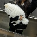 와우청소년노래방 | [NOV] 왜 벌써 기말고사