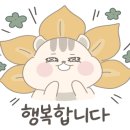 유니네세탁 이미지