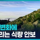 기후 변화에 흔들리는 식량 안보 [창 플러스] 이미지
