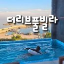 포항 더리브풀빌라3 이미지
