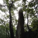 옥순봉길 | 금수산(가마봉능선) /충북 제천