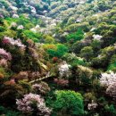 산꽃미술관 이미지