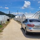 지방도913호 이미지