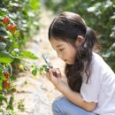 참사랑요양병원 이미지