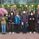 [문화여가 프로그램] 2024 안동 벚꽃축제 이미지