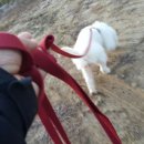 별무리 민박 이미지