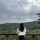 하늘닿은펜션 | 산을 품은 평창 숙소, 하늘닿은펜션 숙박 후기