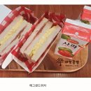 다대스파 이미지