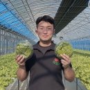 사촌농장 이미지