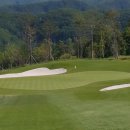 샤인데일 골프&리조트 이미지