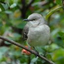 거모동원아파트 이미지