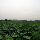 백련주유소 이미지