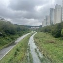 한림풀에버7단지 아파트 정문, 파리바게트앞 | 서판교 판교원마을 임장 25.09