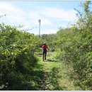 무릉외갓집 이미지