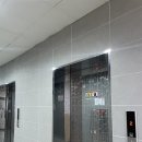 라라코스트(평택점) 이미지