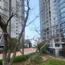 리치 캐슬 | [연산롯데캐슬골드포레] 안내 후기 2/14 발렌타인데