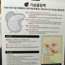 다코팩 이미지