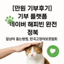 [만원 기부후기] 기부 플랫폼, 네이버 해피빈 완전 정복, 길냥이 돕는방법, 한국고양이보호협회