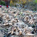 무지개영농조합법인 이미지