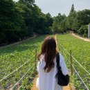 2023 5월 | 이제 곧 시험기간이라고 말만 하고 먹기만 한 대학생 일상 ٩(*•̀ᴗ•́*)و
