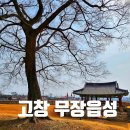 철비거북좌대 | 〔전북고창〕고창 무장읍성-나무가 멋진 곳-조용하게 산책하기 좋은 곳-무장읍성축제