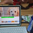 딸기피씨 이미지