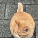 남현이네 이미지