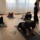 밴드 테라피 요가 이미지