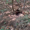 장수약품 이미지