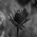 사랑비디오 이미지