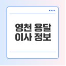 영천서비스센터 | 영천 용달이사 비용, 서비스 종류, 후기 비교하기