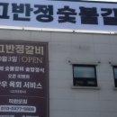 고반정