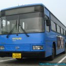 대성공영(주) 이미지